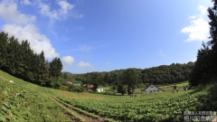 farm_022